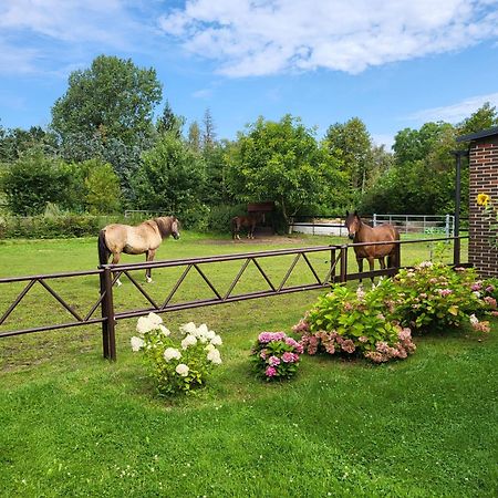 Poggenhagen Urlaub Mitten In Der Natur Neustadt am Rübenberge Exteriör bild