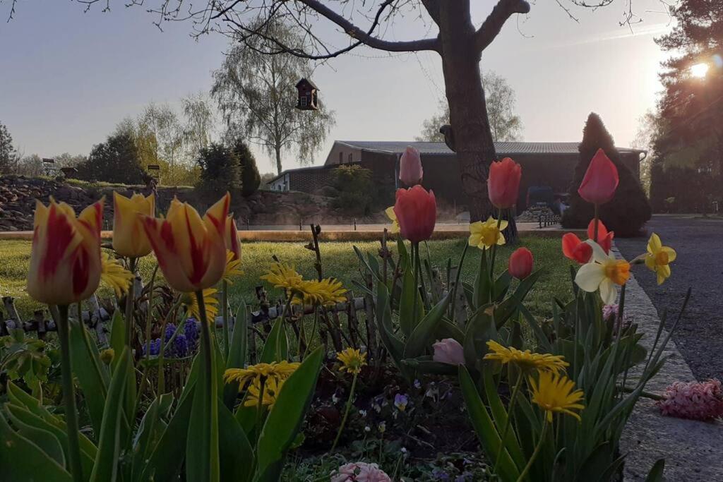 Poggenhagen Urlaub Mitten In Der Natur Neustadt am Rübenberge Exteriör bild